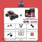 Véhicule radiocommandé 4WD pour des heures de plaisir en extérieur