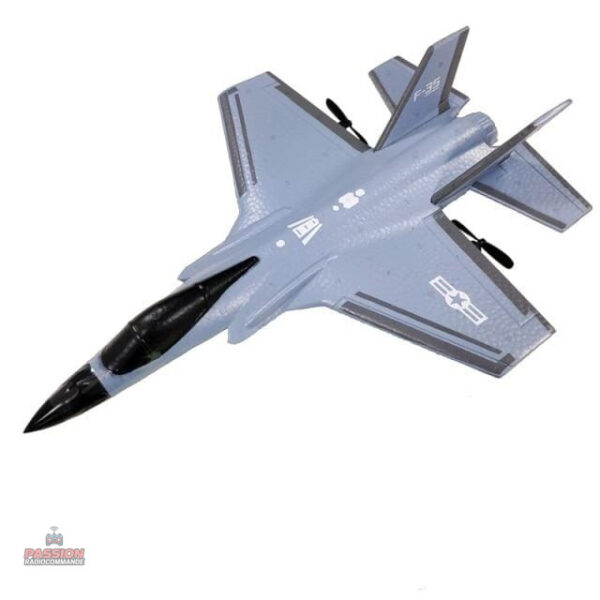 Avion de chasse RC, idéal pour les loisirs aériens