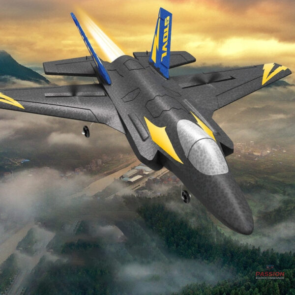 Modèle réduit d'avion de chasse RC pour les passionnés