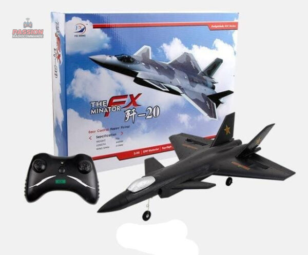 Jouet d'extérieur : avion télécommandé pour tous les âges