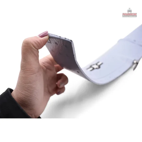 Avion RC léger, parfait pour les manœuvres acrobatiques