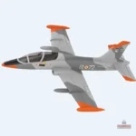 Avion RC facile à piloter pour les débutants
