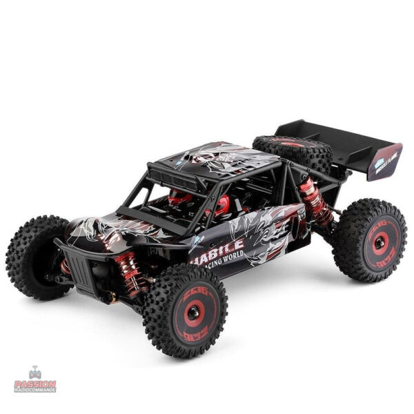 Voiture RC adulte à grande vitesse