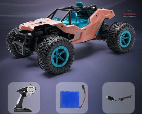 Buggy télécommandé, idéal pour les terrains difficiles