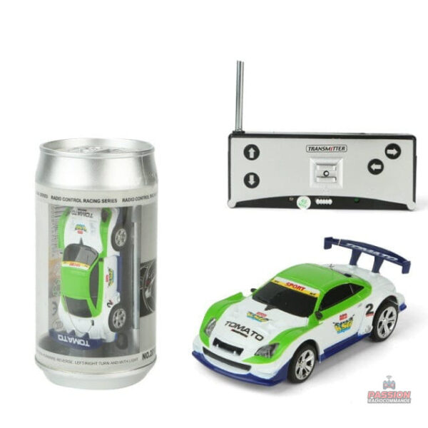 Mini voiture télécommandée pour des funs en extérieur