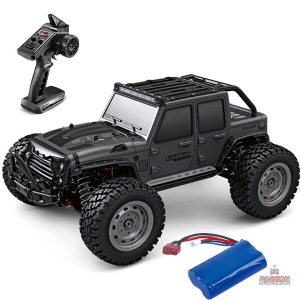 Voiture RC rapide pour terrains variés