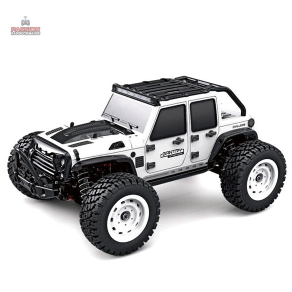Expérience de conduite tout terrain avec RC