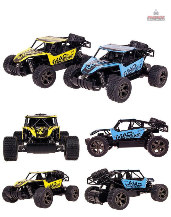 Voiture RC avec grandes roues pour aventures