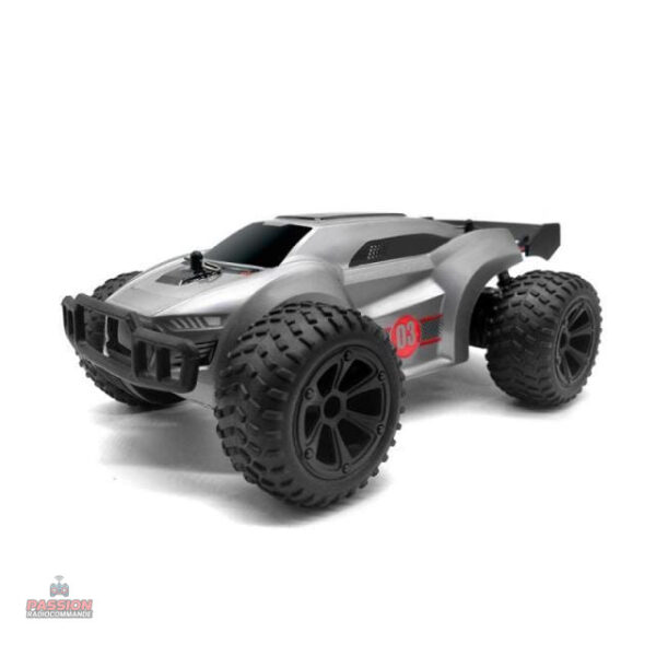 Voiture RC haute vitesse pour des courses palpitantes