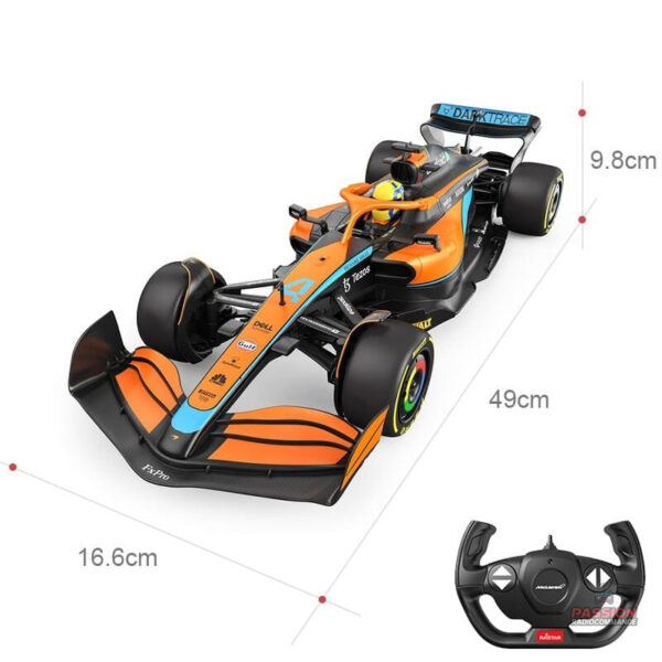 Voiture de course F1 à télécommande pour tous les âges