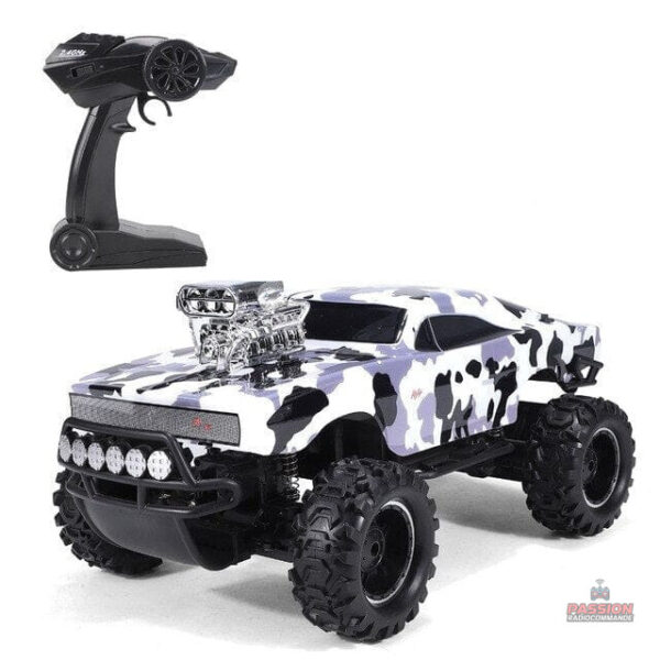 Voiture RC rechargeable, idéale pour les terrains variés