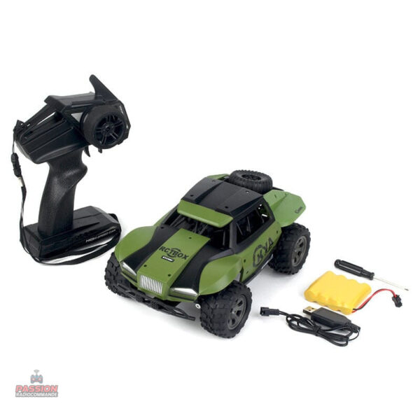 Voiture téléguidée tout terrain - vue 12